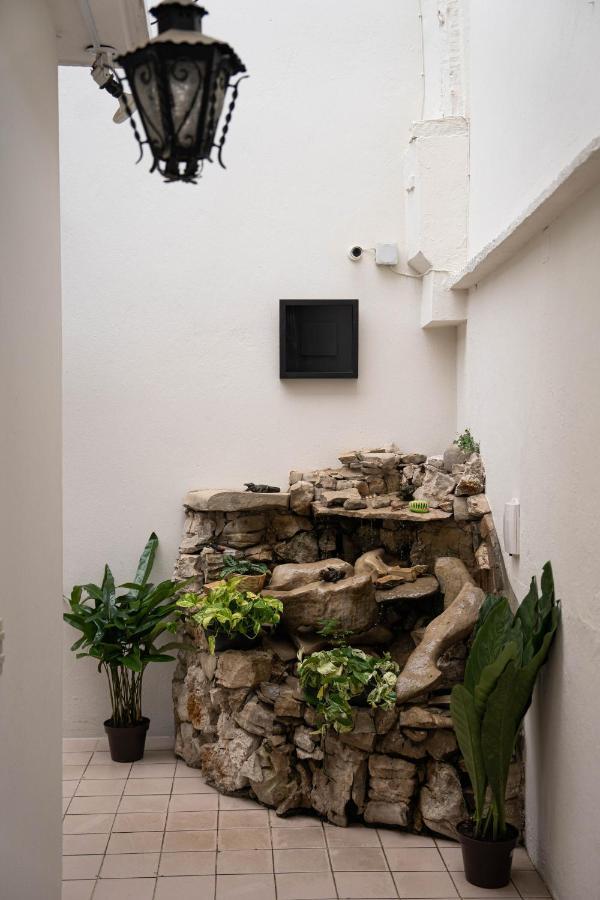 מלון San Cristóbal de Las Casas Casa Venus מראה חיצוני תמונה