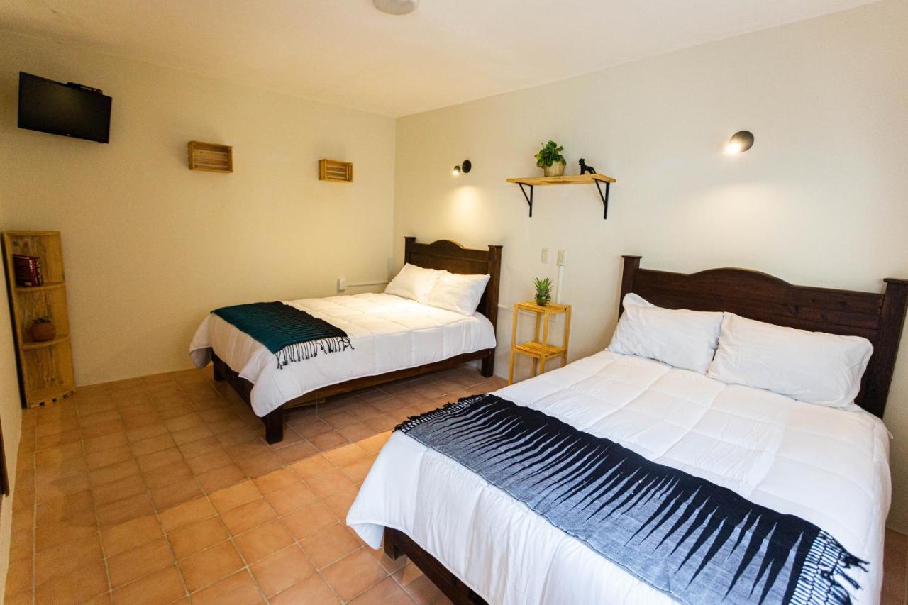 מלון San Cristóbal de Las Casas Casa Venus מראה חיצוני תמונה